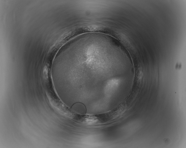 X0000115440214200911181531