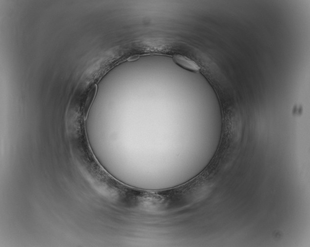 X0000115440215200911181531
