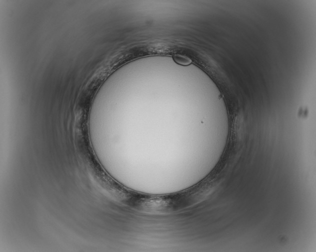 X0000115440217200911181531