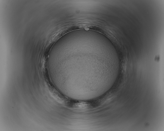 X0000115440219200911181531