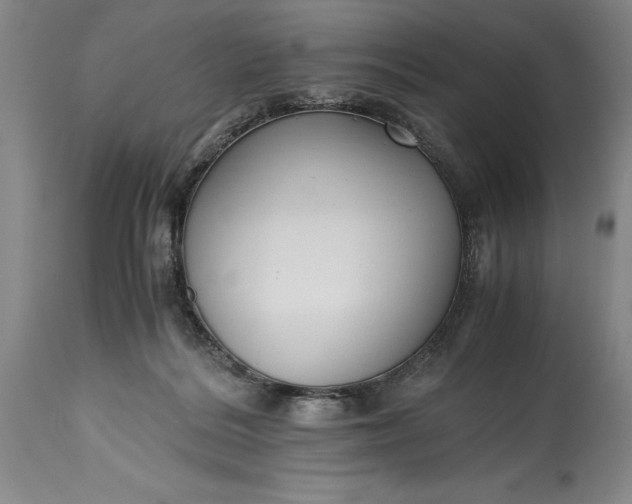X0000115440220200911181531