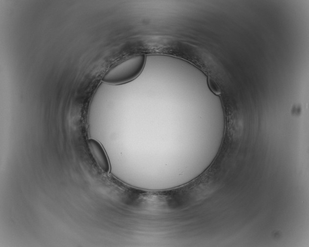 X0000115440221200911181531
