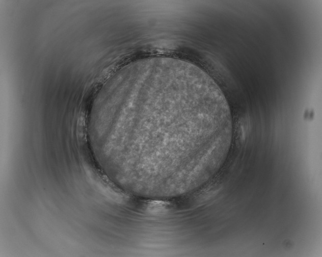 X0000115440222200911181531