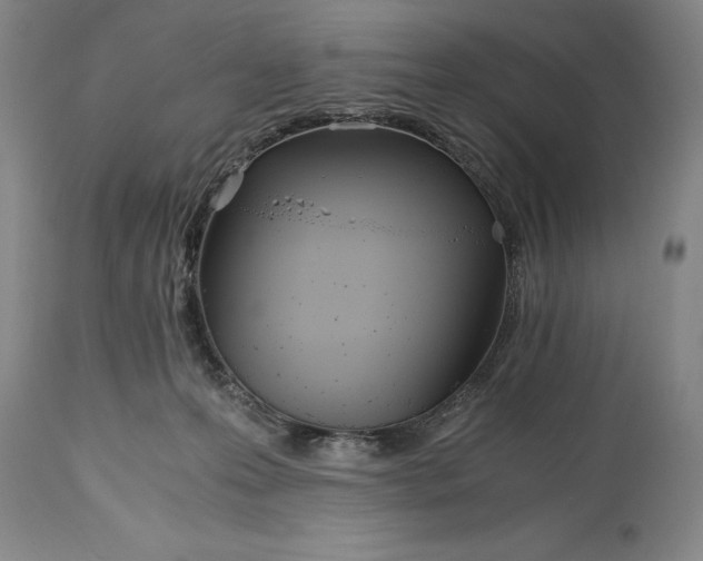 X0000115440223200911181531
