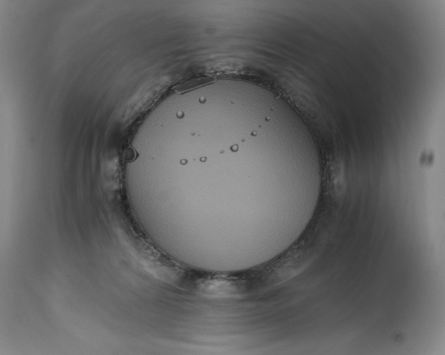 X0000115440224200911181531