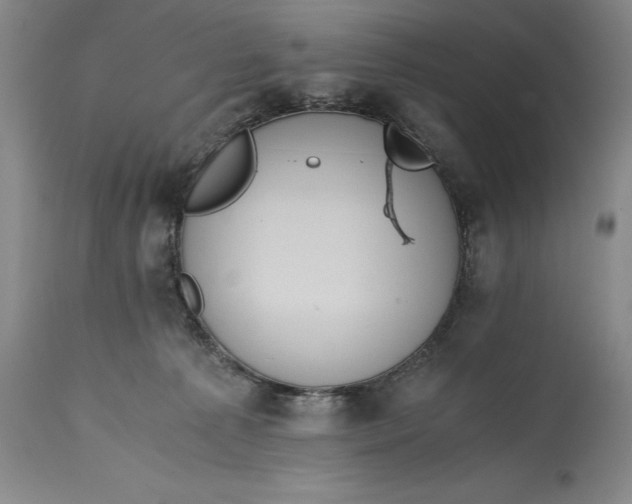 X0000115440225200911181531