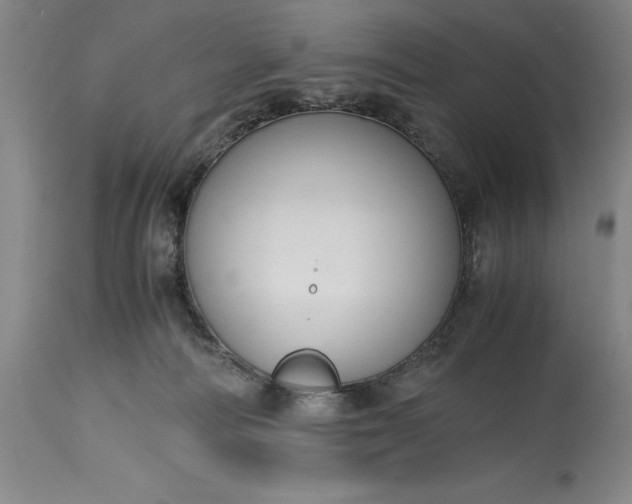 X0000115440226200911181531