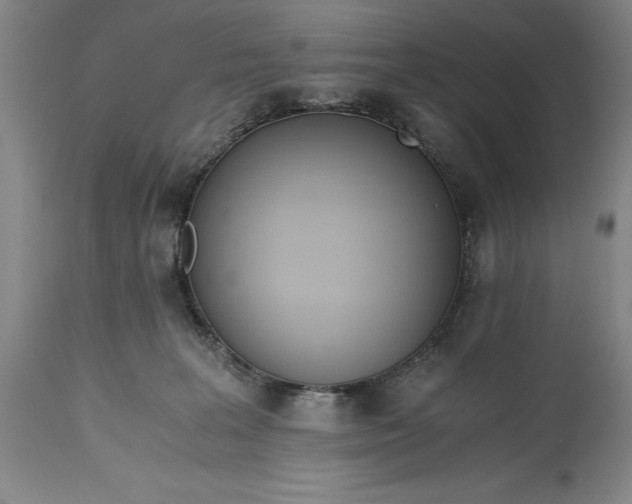 X0000115440227200911181531