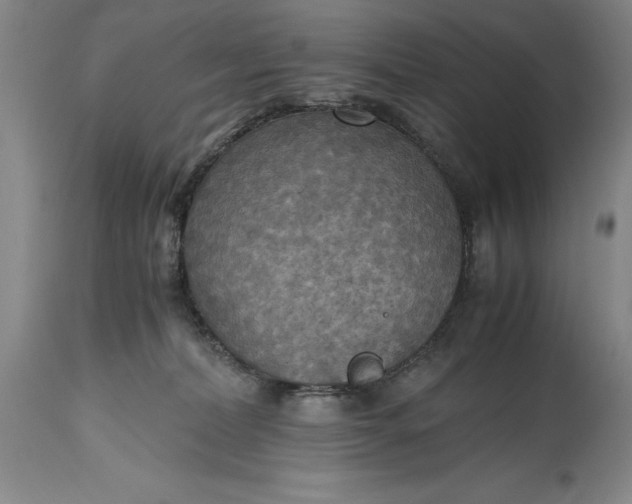 X0000115440228200911181531
