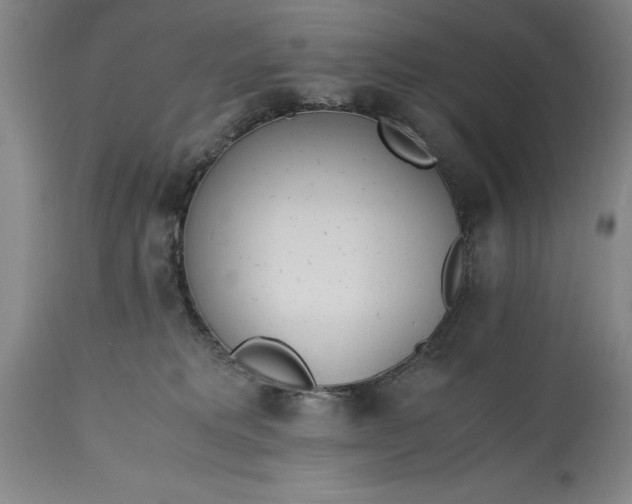 X0000115440229200911181531