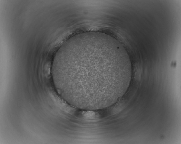 X0000115440230200911181531