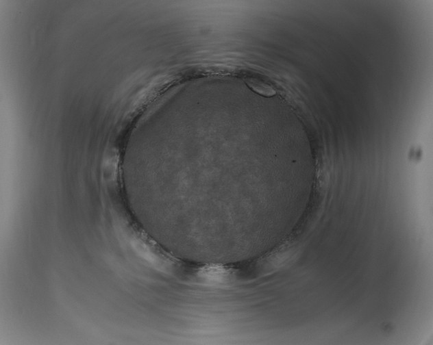 X0000115440231200911181531