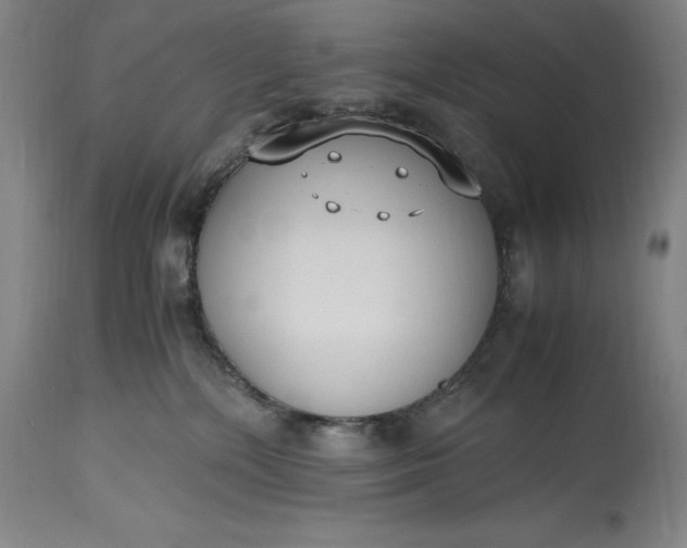 X0000115440232200911181531