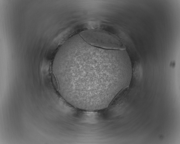 X0000115440233200911181531