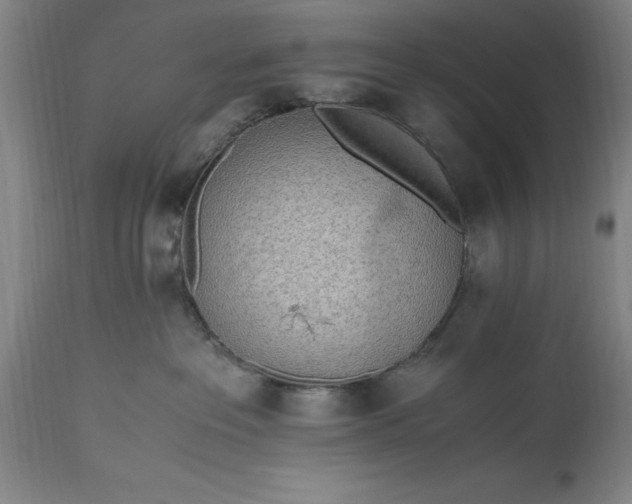 X0000115440237200911181531