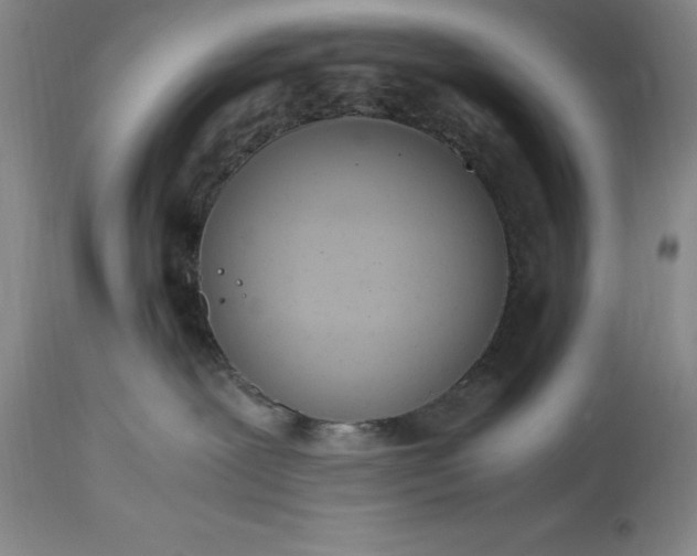 X0000115440239200911181531