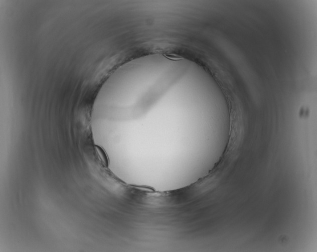 X0000115440240200911181531
