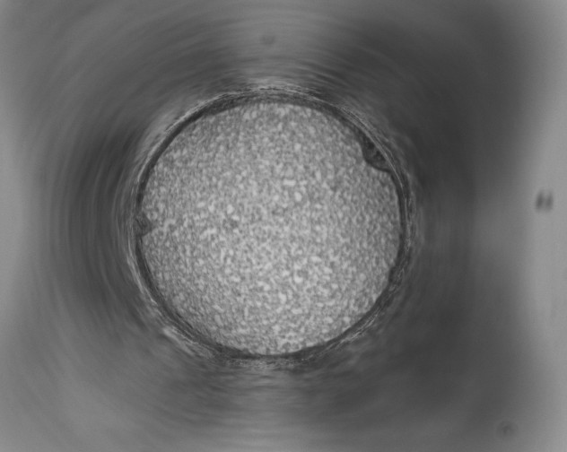 X0000115440241200911181530