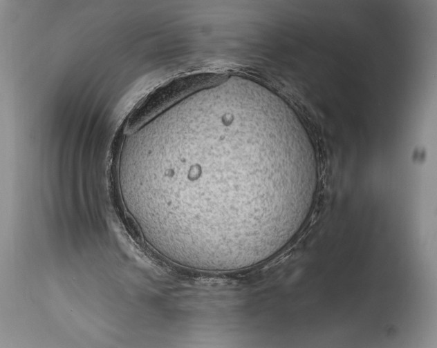 X0000115440242200911181530