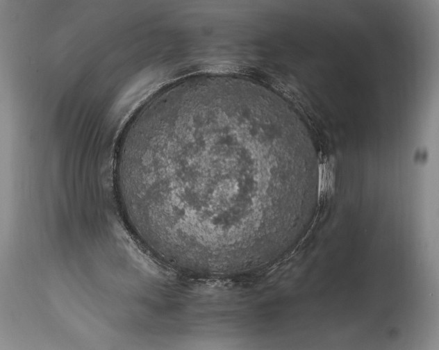 X0000115440243200911181530