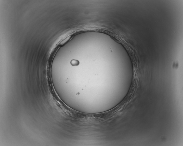 X0000115440244200911181530