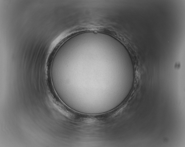 X0000115440246200911181530