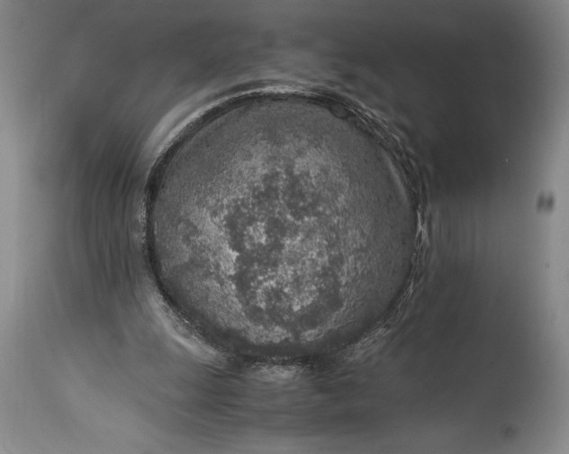 X0000115440247200911181530