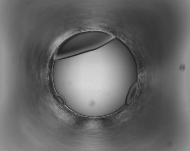 X0000115440248200911181530