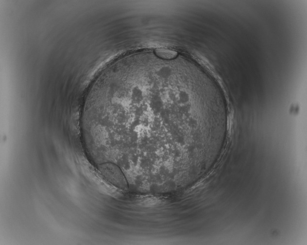 X0000115440249200911181530