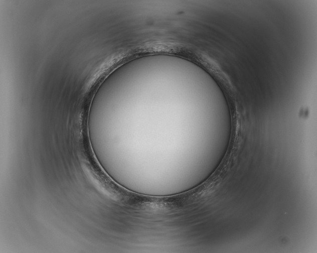 X0000115440250200911181530