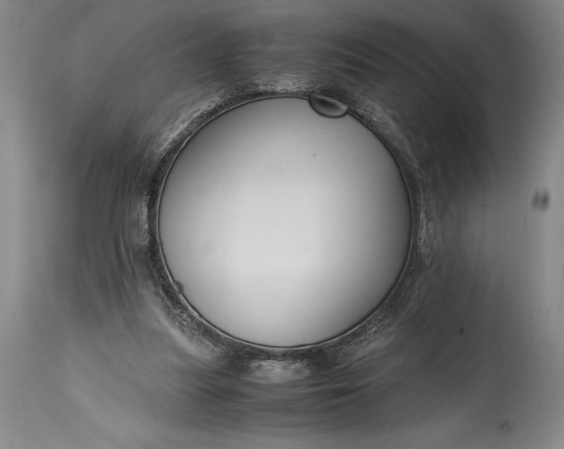 X0000115440251200911181530