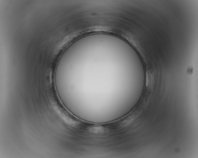 X0000115440253200911181530