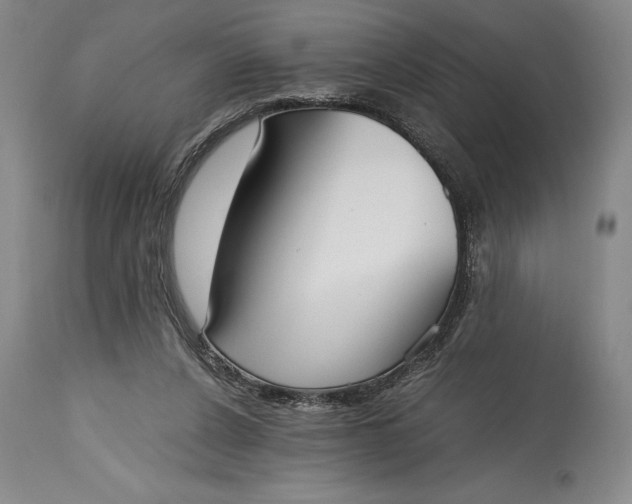 X0000115440256200911181530