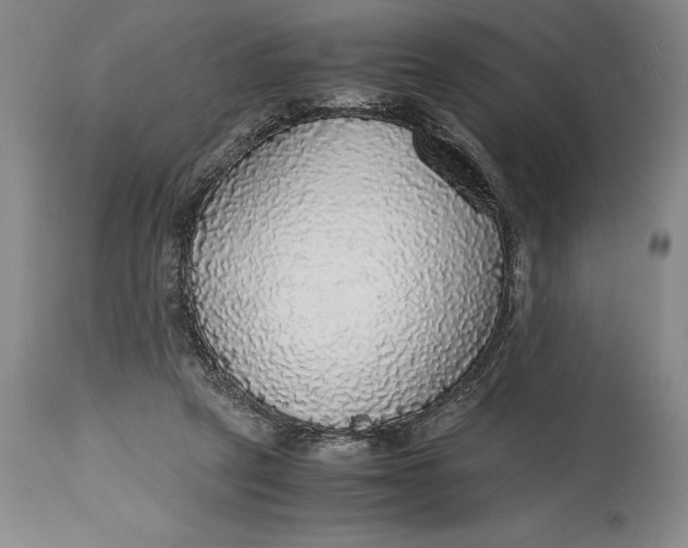 X0000115440257200911181530