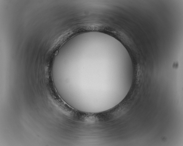 X0000115440258200911181530