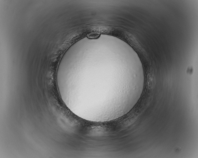 X0000115440259200911181530