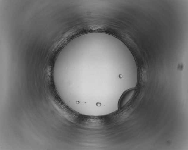 X0000115440260200911181530