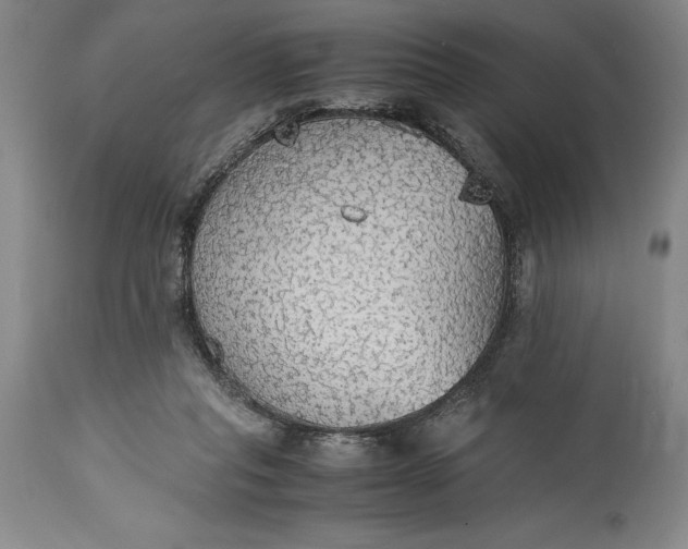 X0000115440261200911181530