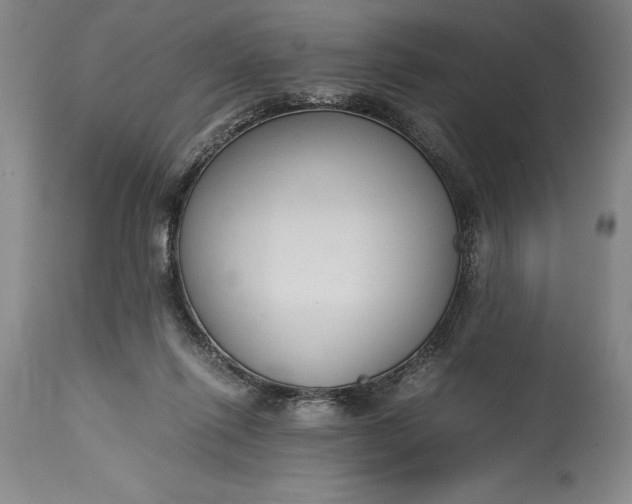 X0000115440262200911181530