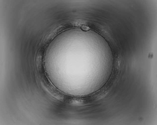 X0000115440263200911181530
