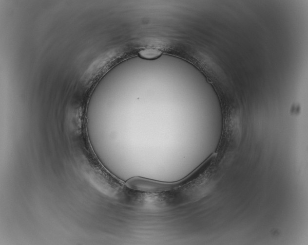 X0000115440264200911181530