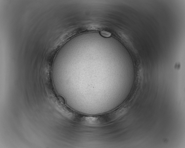 X0000115440265200911181530