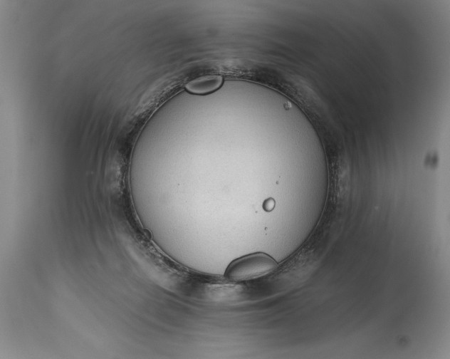X0000115440266200911181530