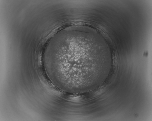 X0000115440267200911181530