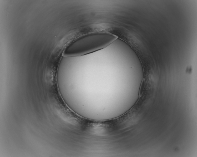 X0000115440268200911181530