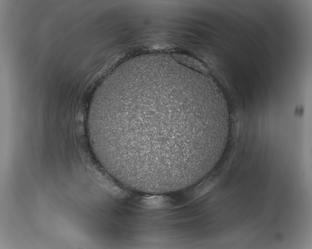 X0000115440269200911181530