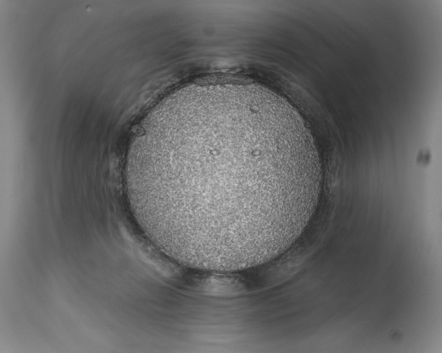 X0000115440270200911181530