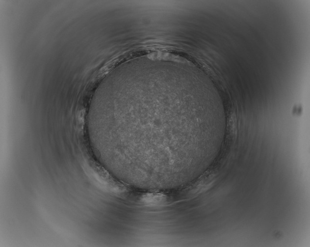 X0000115440271200911181530