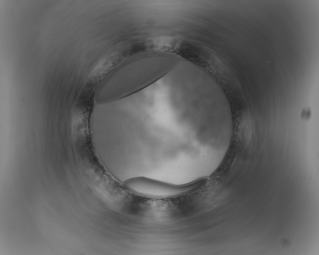 X0000115440272200911181530
