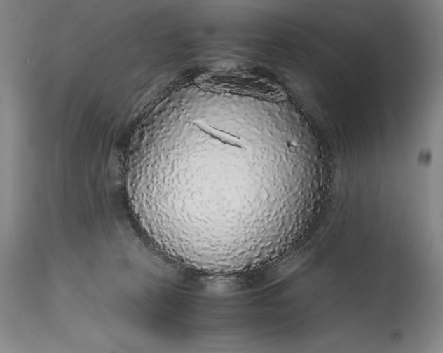 X0000115440273200911181530